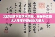 探寻丹麦技术大学学位证的北欧之光，非凡荣耀背后的学术传奇
