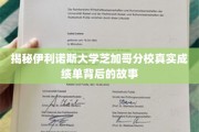 伊利诺斯大学芝加哥分校成绩单揭秘，隐藏的学术传奇与真实背后的故事
