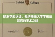 跨国教育通行证，揭秘杜伊斯堡大学学位证的学术传奇