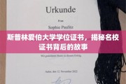 探寻斯普林爱伯大学学位证书背后的传奇印记