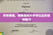 学位荣耀之光，探寻高知学府证书的独特风采