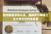 欧洲名校认可，伊尔梅瑙工业大学学位的黄金价值解析