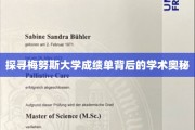 解码梅努斯大学成绩单，一窥学术成就的秘密世界