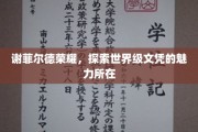谢菲尔德荣耀揭秘，世界级文凭背后的独特魅力