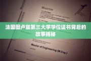 解码图卢兹第三大学神秘学位，揭开证书背后的传奇历程