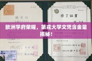 欧洲名校光环，一探第戎大学文凭的黄金价值