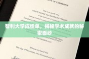 智利大学成绩单背后的学术辉煌之谜