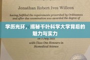 千叶科学大学，揭秘隐藏在学历光环下的学术魅力与卓越实力