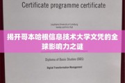 解码哥本哈根信息技术大学，全球人才市场的秘密通行证