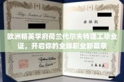 荷兰代尔夫特理工荣耀毕业，解锁国际职场新境界！