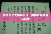 假文凭背后，东义大学学位证伪造风波全解析