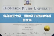 探寻肯高迪亚大学学子成绩单背后的励志篇章
