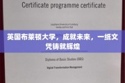 布莱顿大学，学历成就辉煌未来之路