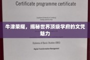 牛津之光，解码顶级学府文凭的非凡吸引力