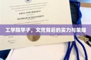工学院精英，文凭背后的实力与荣光之旅