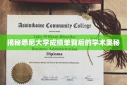 悉尼大学成绩单，探寻背后的学术世界与卓越标准