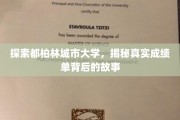 揭开都柏林城市大学成绩单背后的神秘面纱