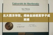 北大西洋学院，培养未来世界领袖的精英摇篮风采展示