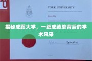 探寻成蹊大学，成绩单背后闪耀的学术之光
