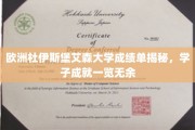 解锁杜伊斯堡艾森大学学子卓越成就，成绩单背后的精彩篇章