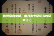 北欧之光，南丹麦大学证书，开启学术荣耀之旅