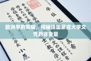欧洲精英摇篮，探寻法国第戎大学学位的珍贵价值