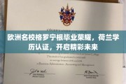 荷兰荣耀学历加持，格罗宁根毕业生迈向璀璨未来之路