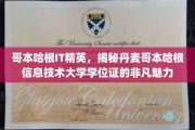哥本哈根IT英才揭秘，丹麦学位证的独特吸引力与全球认可度