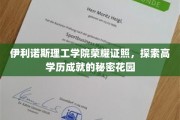 伊利诺斯理工骄子荣耀，揭秘世界级高学历成就的摇篮之旅