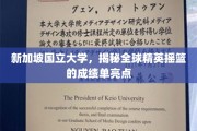 新加坡国立大学，培养未来领袖的卓越成绩单揭秘