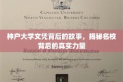 神户大学文凭之谜，探寻名校背后的非凡魅力