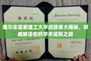 墨大成绩单背后的奥秘，深度解析学术成就的奥秘之旅
