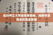 探寻纽约州立大学学霸成绩单背后的惊人真相