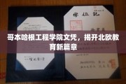 北欧教育新贵，哥本哈根工程学院文凭引领潮流