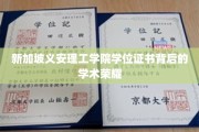 新加坡义安理工学院，揭秘学位证书背后的卓越学术成就