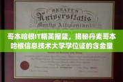 丹麦哥本哈根IT大学学位证背后的高含金量揭秘，北欧精英教育新风向