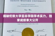 伦敦大学亚非学院，揭秘学术实力，独家成绩单震撼揭晓