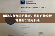 探索东京大学荣耀背后的黄金机遇