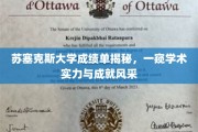 苏塞克斯大学成绩单背后，揭秘精英学子成就之路
