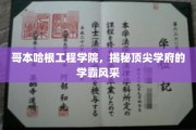 哥本哈根工程学院，探寻学霸风采背后的秘密殿堂