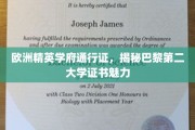 欧洲高教殿堂通行证，巴黎第二大学证书的独特魅力解读