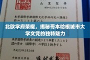 解锁哥本哈根城市大学，探寻北欧教育的璀璨明珠