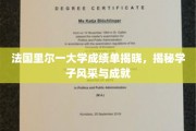 里尔大学成绩单曝光，一窥学子卓越风采与耀眼成就