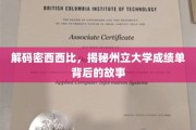 探索密西西比州立大学，成绩单背后的神秘面纱