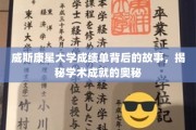 威斯康星大学成绩单，探寻学术辉煌背后的秘密之路