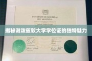 谢泼兹敦大学学位证，探寻背后的独到韵味与非凡价值