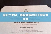 威尔士大学，国际舞台上闪耀的学术明珠