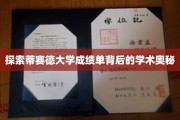 揭秘蒂赛德大学成绩单的神秘学术密码