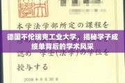 德工风采，探秘不伦瑞克工业大学学子成绩单背后的学术魅力