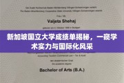 新加坡国立大学，揭秘成绩单背后的学术魅力与全球视野